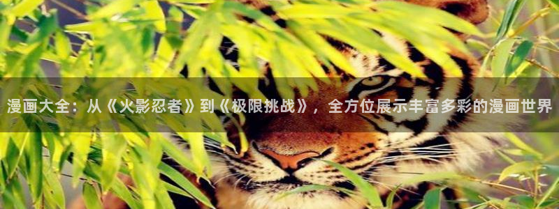 耽美漫画全部免费观看