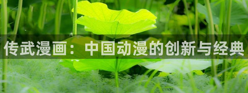 好看的耽美漫画