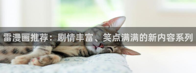 耽美漫画网免费