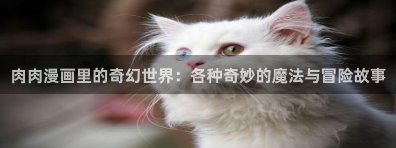 耽美漫画免费在线观看