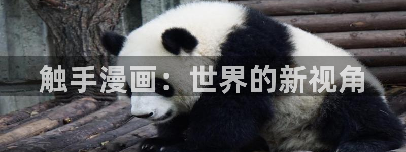 免费耽美漫画