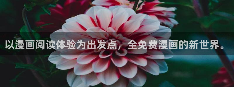 耽美漫画在线免费看